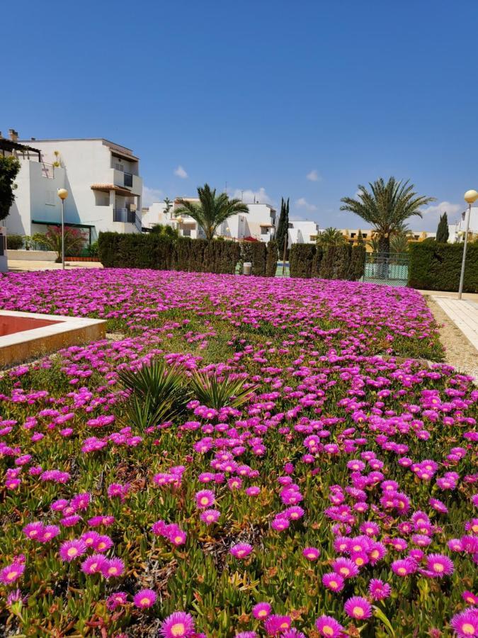 Apartamento Naturista En Primera Linea! Vera Extérieur photo