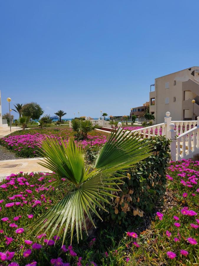 Apartamento Naturista En Primera Linea! Vera Extérieur photo